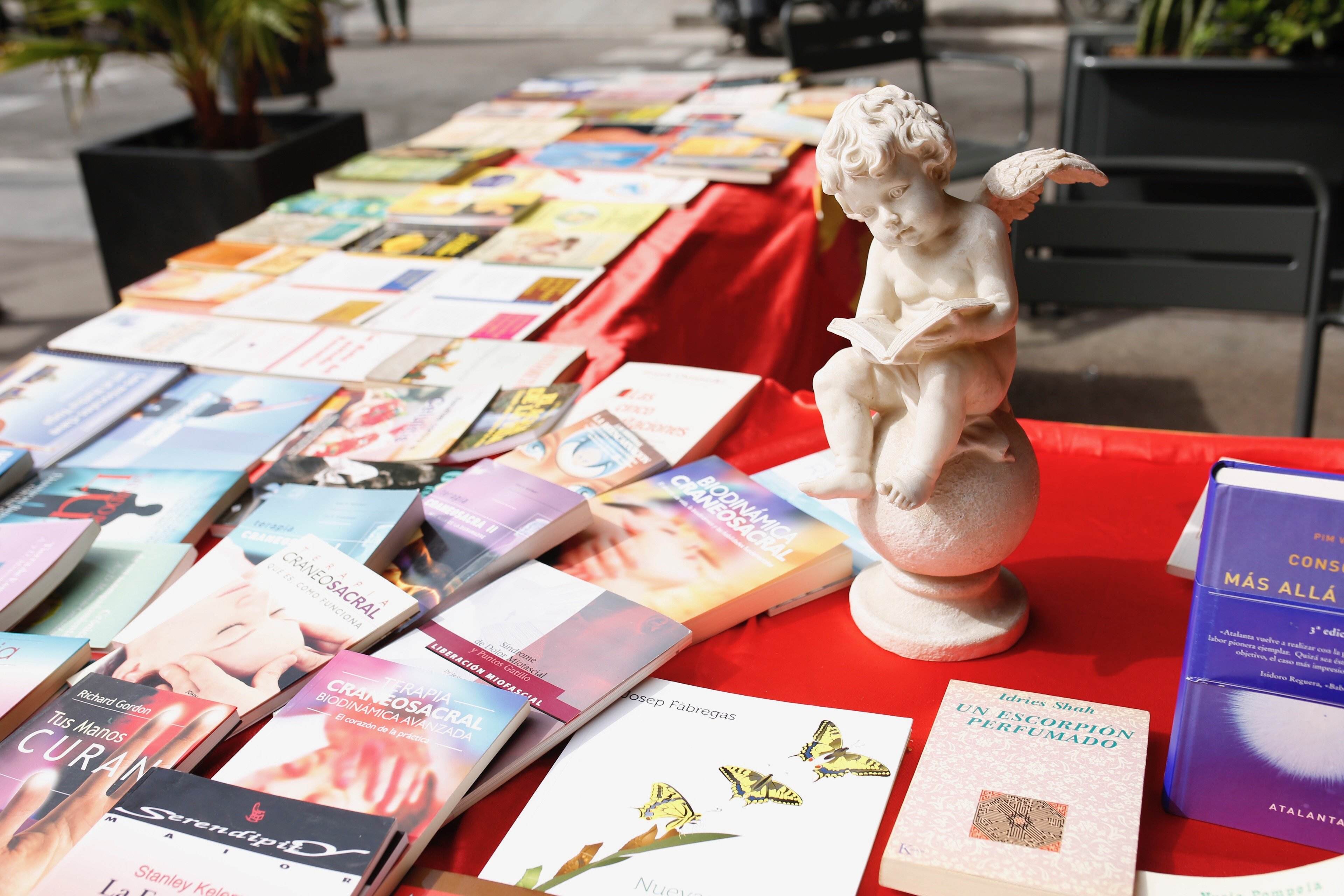 El Día del Libro llega a Gràcia