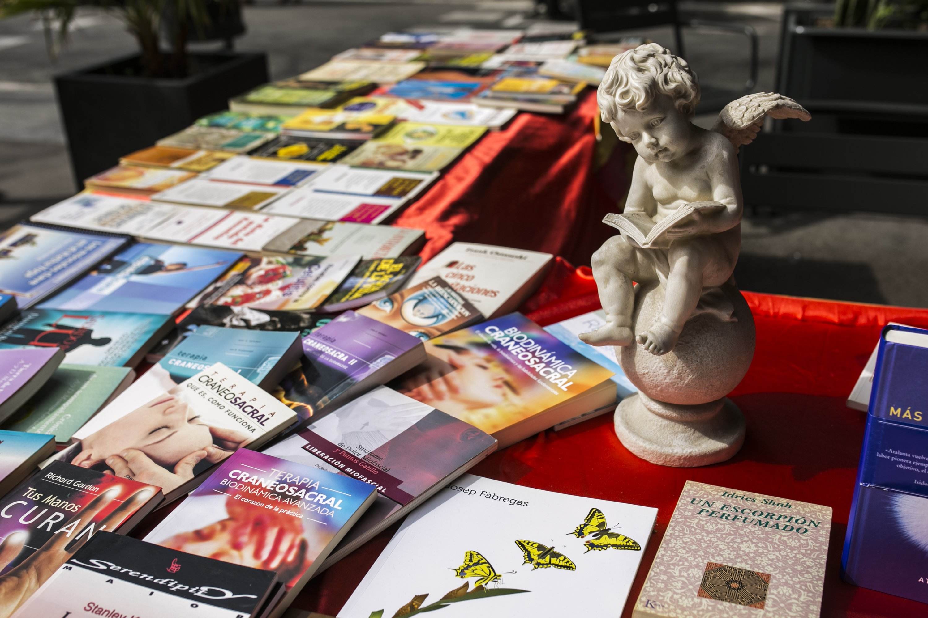 Los catalanes comprarán 7 millones de rosas y 1,5 millones de libros por Sant Jordi