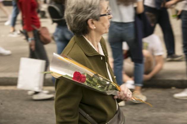 Sant Jordi Sergi Alcazar 19