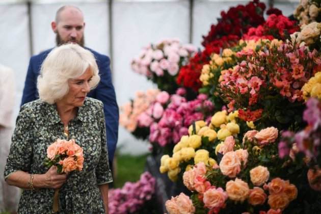 Llitera Parker Bowles en el funeral de Kevin Burke