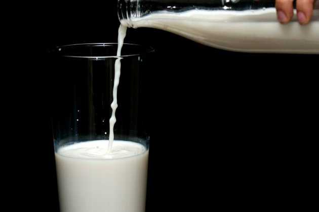 Leche Leche