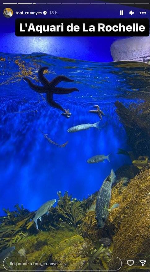 El Acuario de La Rochelle, Ig El Acuario de La Rochelle, Ig