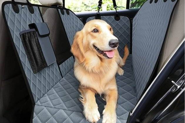 Funda Pecute perro Funda Pecute perro