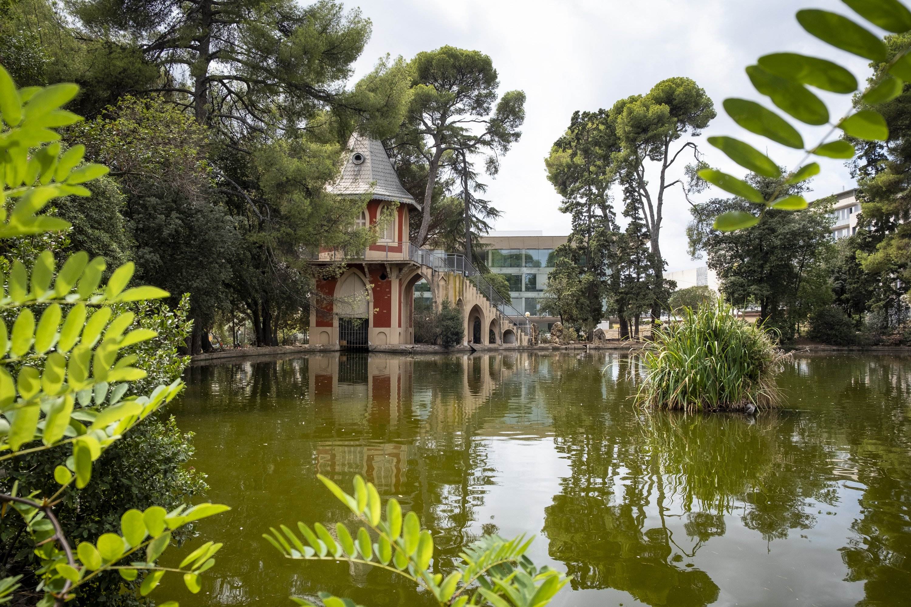 Los Jardins de Torre Girona, un "tesoro de biodiversidad" en riesgo de masificarse