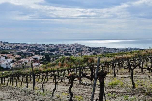 excursiones a menos de una hora de bcn   alella