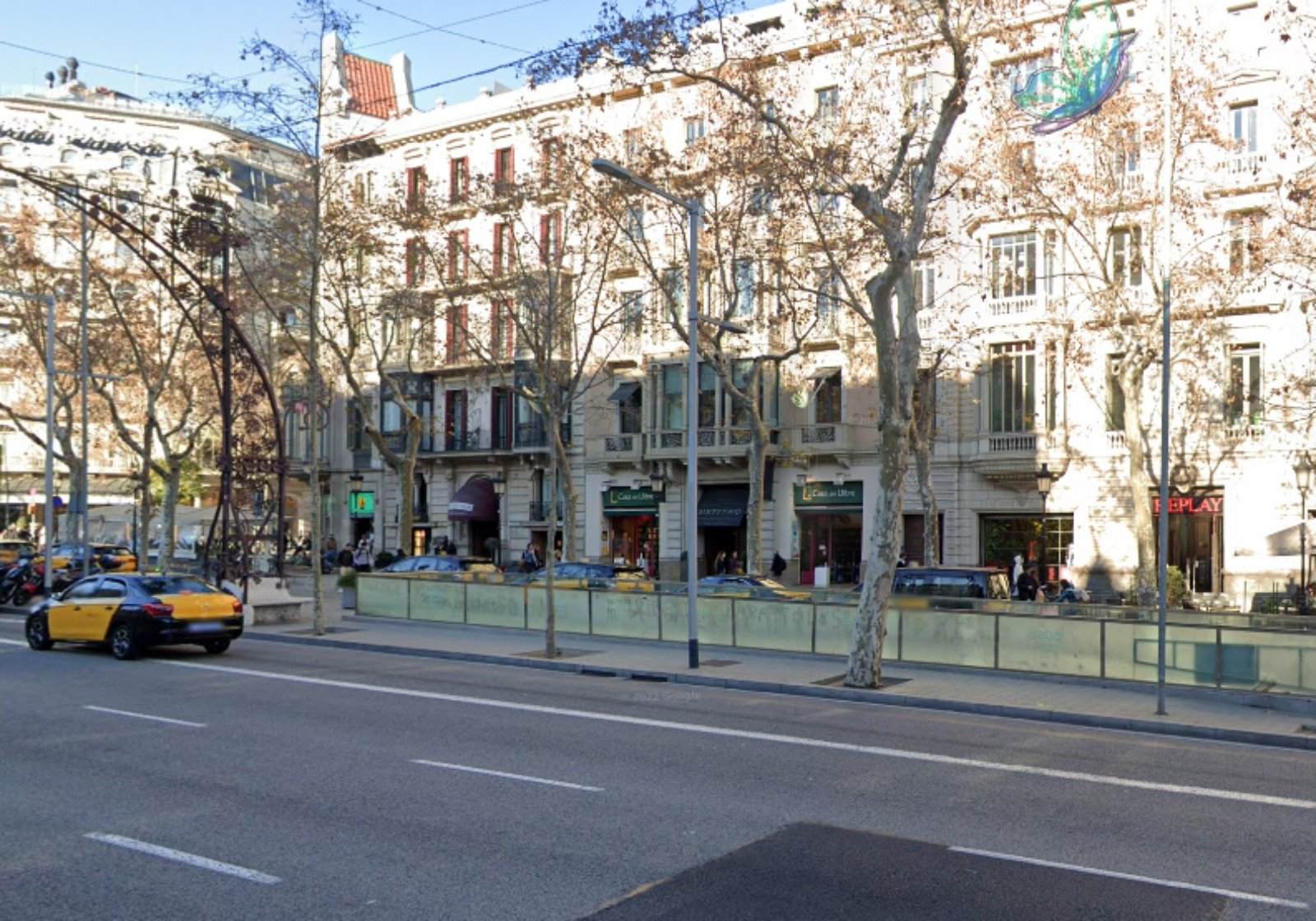 Vuelve a caerse un árbol en Barcelona: en esta ocasión, en Passeig de Gràcia