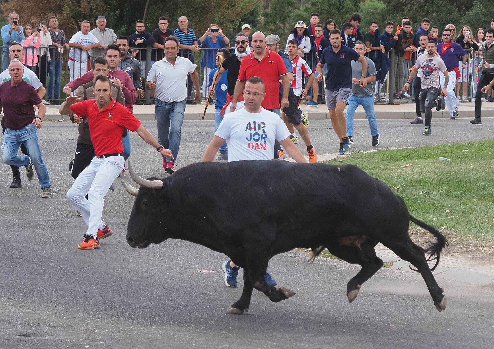 150 guàrdies civils protegiran dels animalistes la festa medieval del Toro de la Vega a Tordesillas