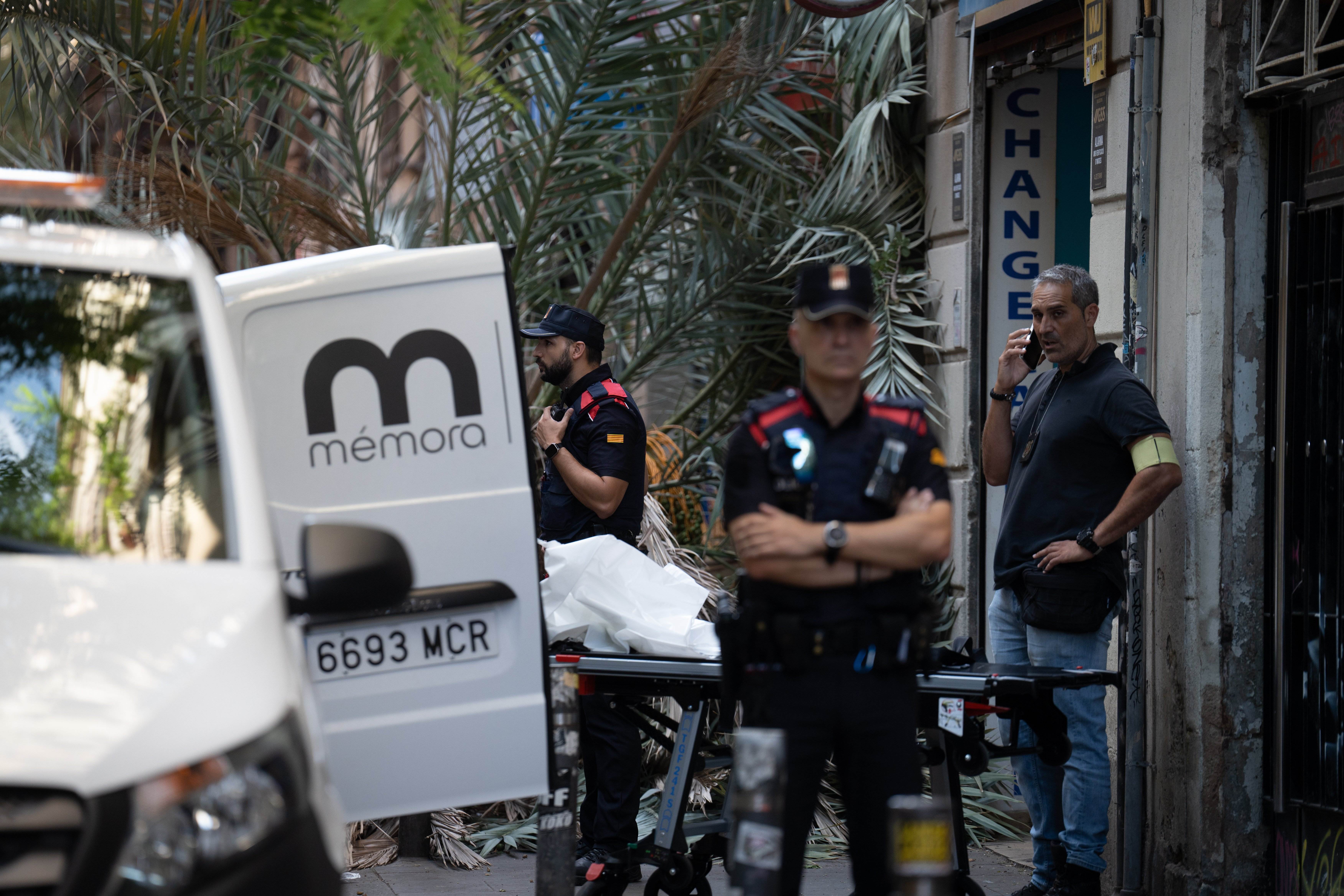 Autopsia a la palmera que mató a una chica en el Raval de Barcelona para aclarar qué pasó