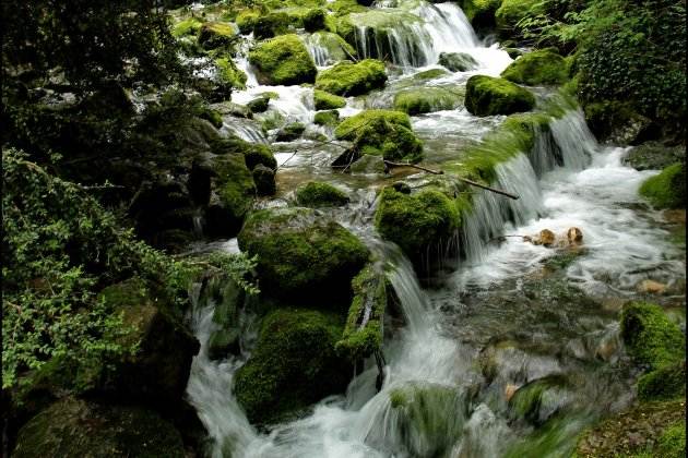 Fuentes del Cardener / Wikimedia commons