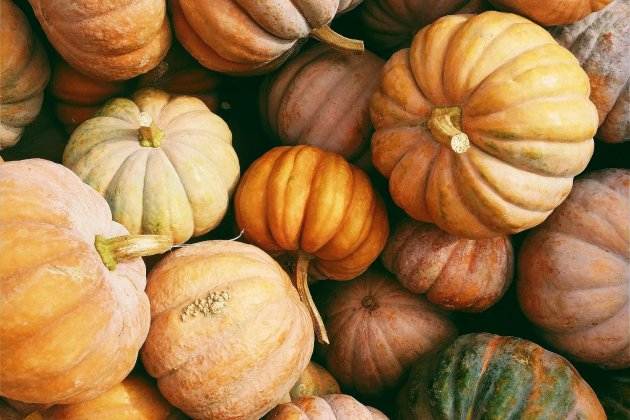 Calabaza Calabaza