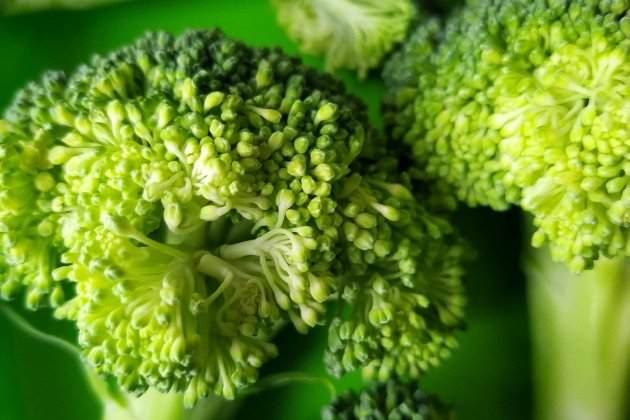 Brócoli Brócoli