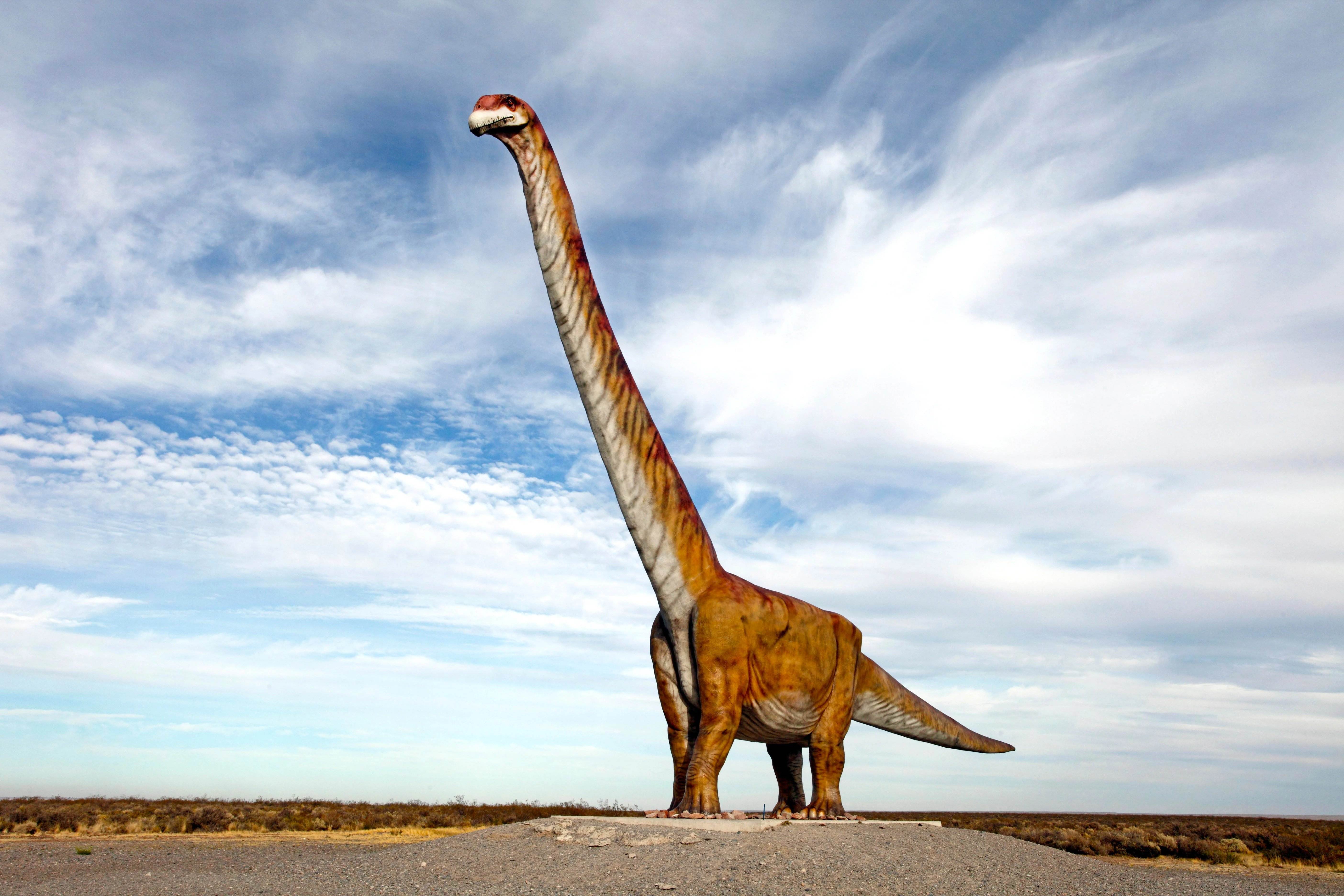 El dinosaure més gran de la història ve a viure a Barcelona