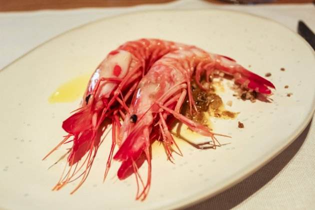 Gamba Gamba