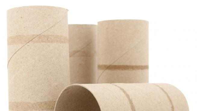 rotllos de paper higienico vacios