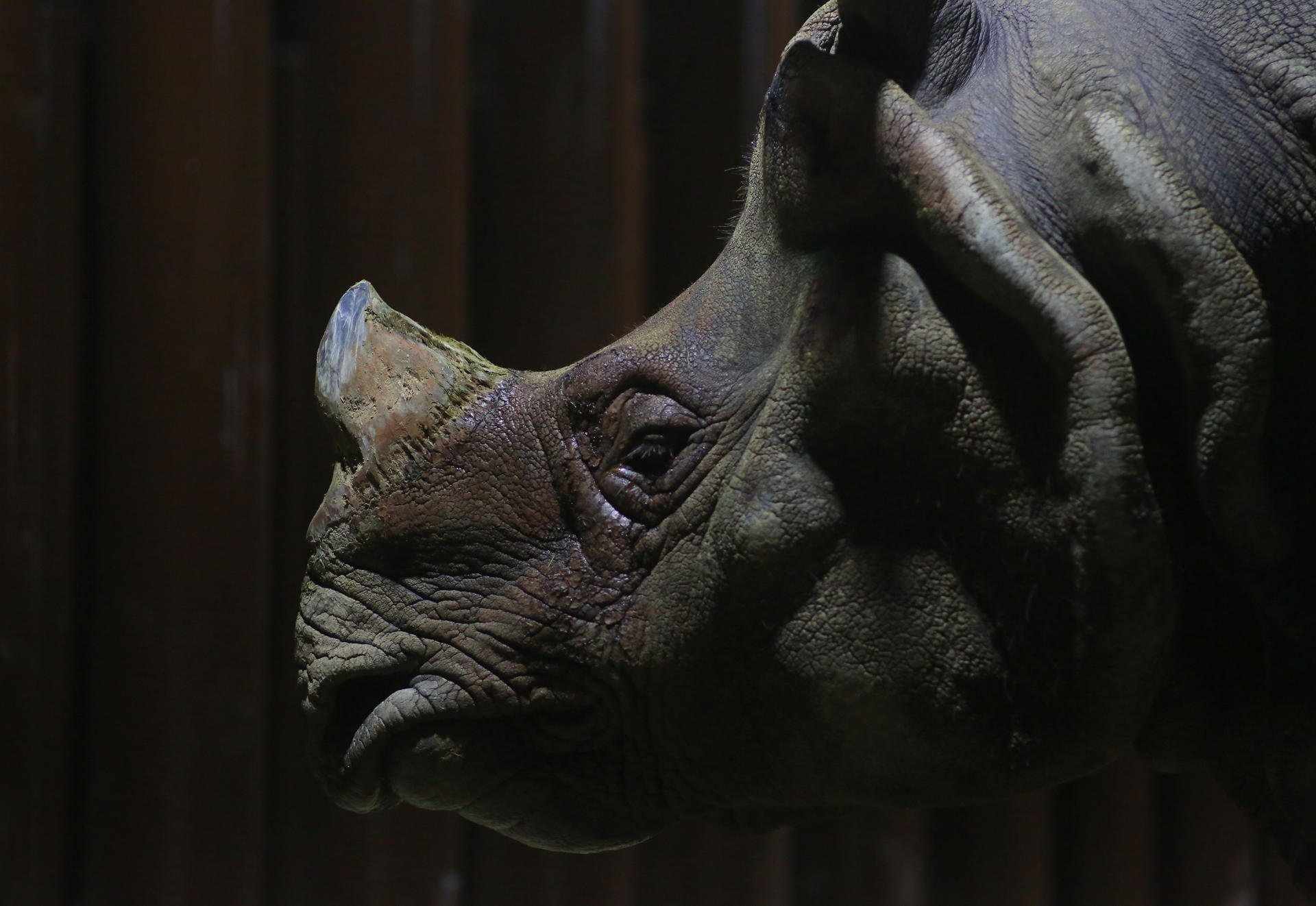 Guadalajara (Mèxic)