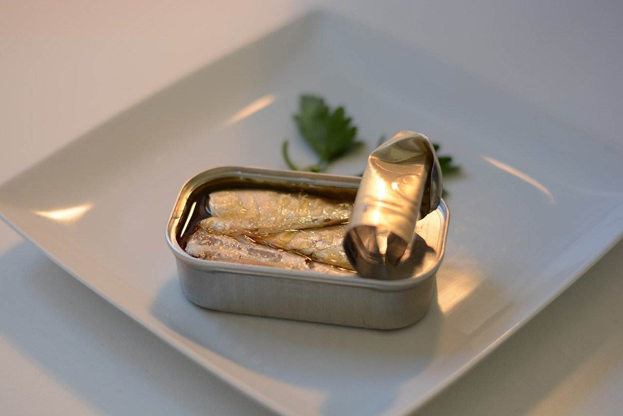 sardines 825606 1280