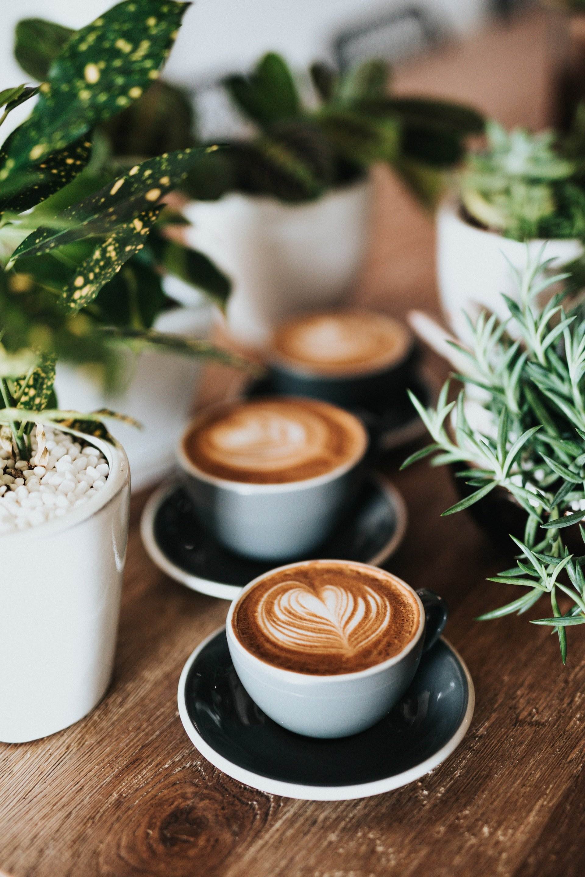 El café, una discutida fuente de antioxidantes