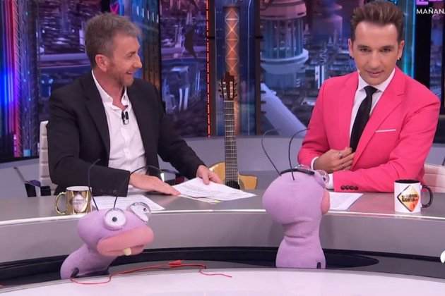hormiguero hormiguero