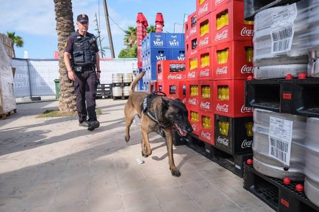 Canino CASA DEL Mossos