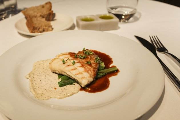 Turbot Turbot