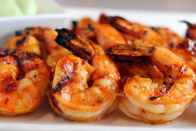 gamba (2) gamba (2)