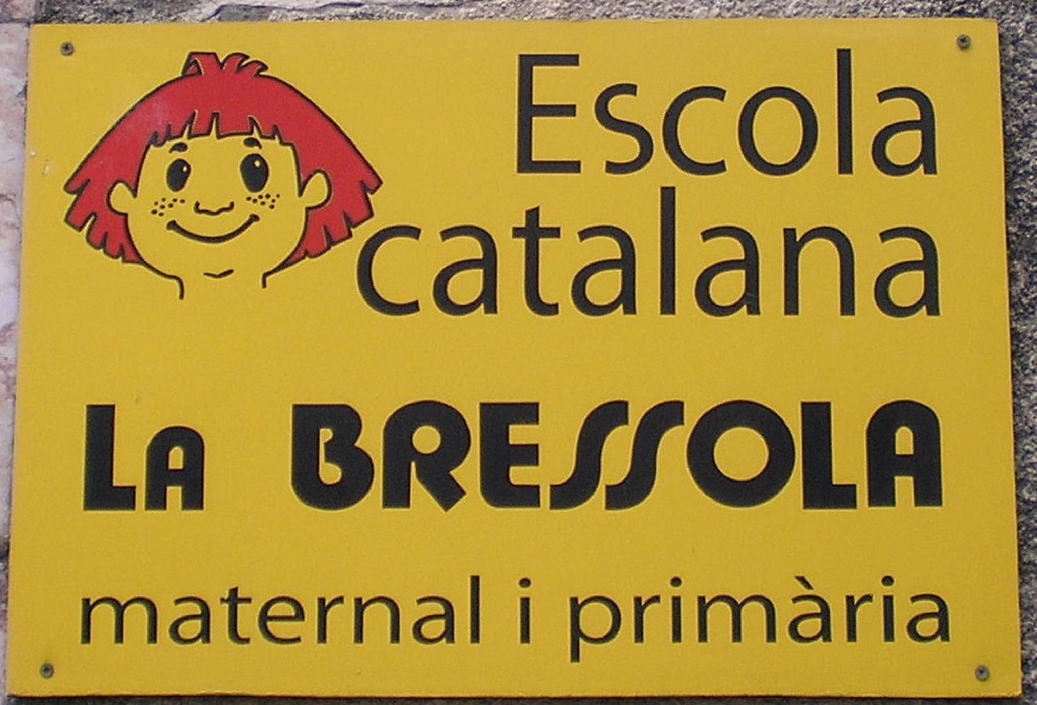 Òmnium insta a sumar-se a la manifestació per salvar La Bressola: "Manté viva la flama del català"