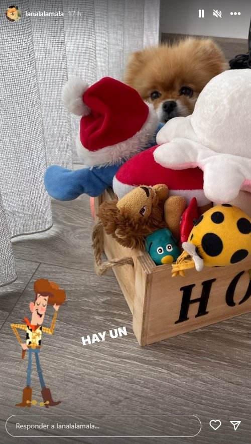 Nala perra Alexia Instagram Nala perra Alexia Instagram