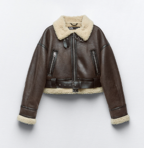 Cazadora de Zara Cazadora de Zara