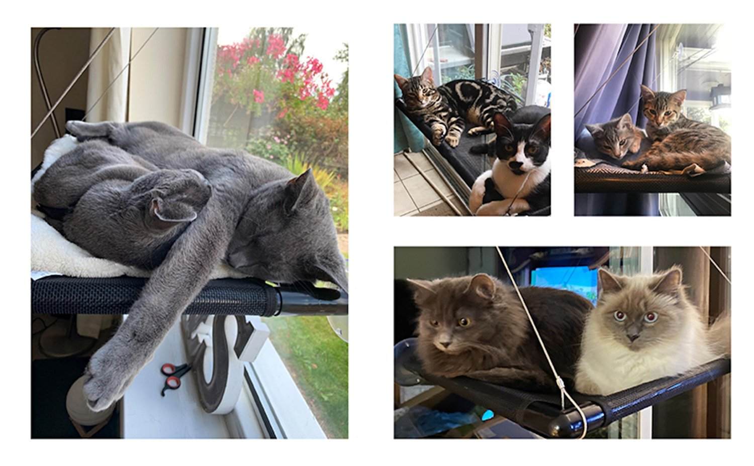 Amazon tiene una cama para que tu gato se relaje junto a la ventana