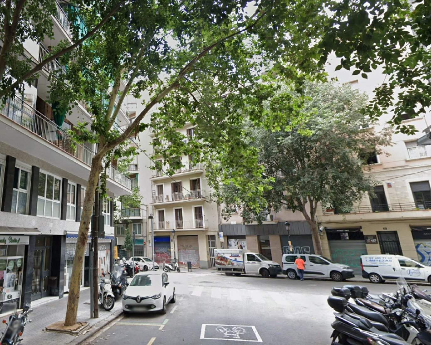 Cau un altre arbre a Barcelona, ara un plataner de més de vint metres a les Corts