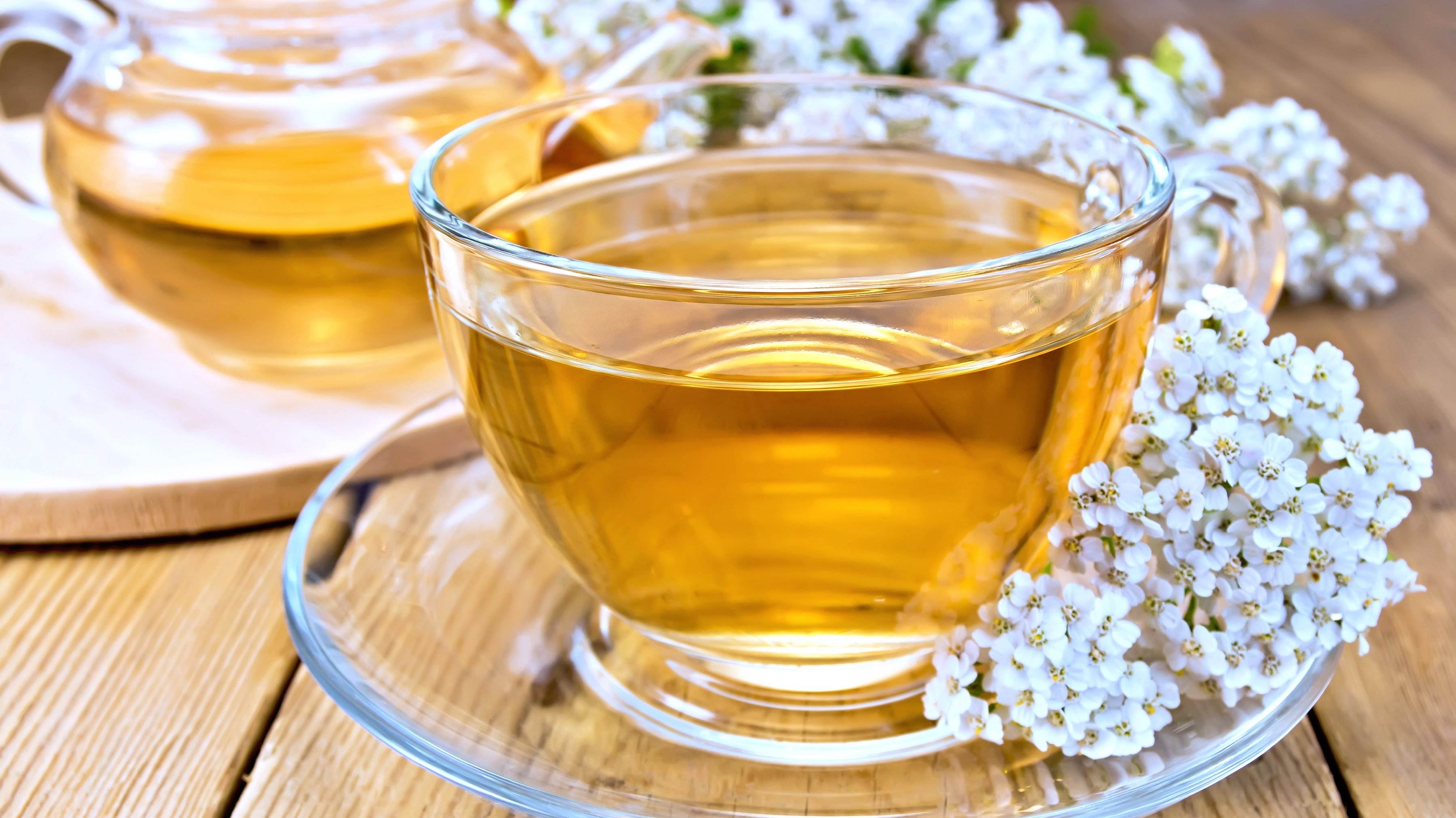 Adiós dolor de barriga y digestiones pesadas con esta planta