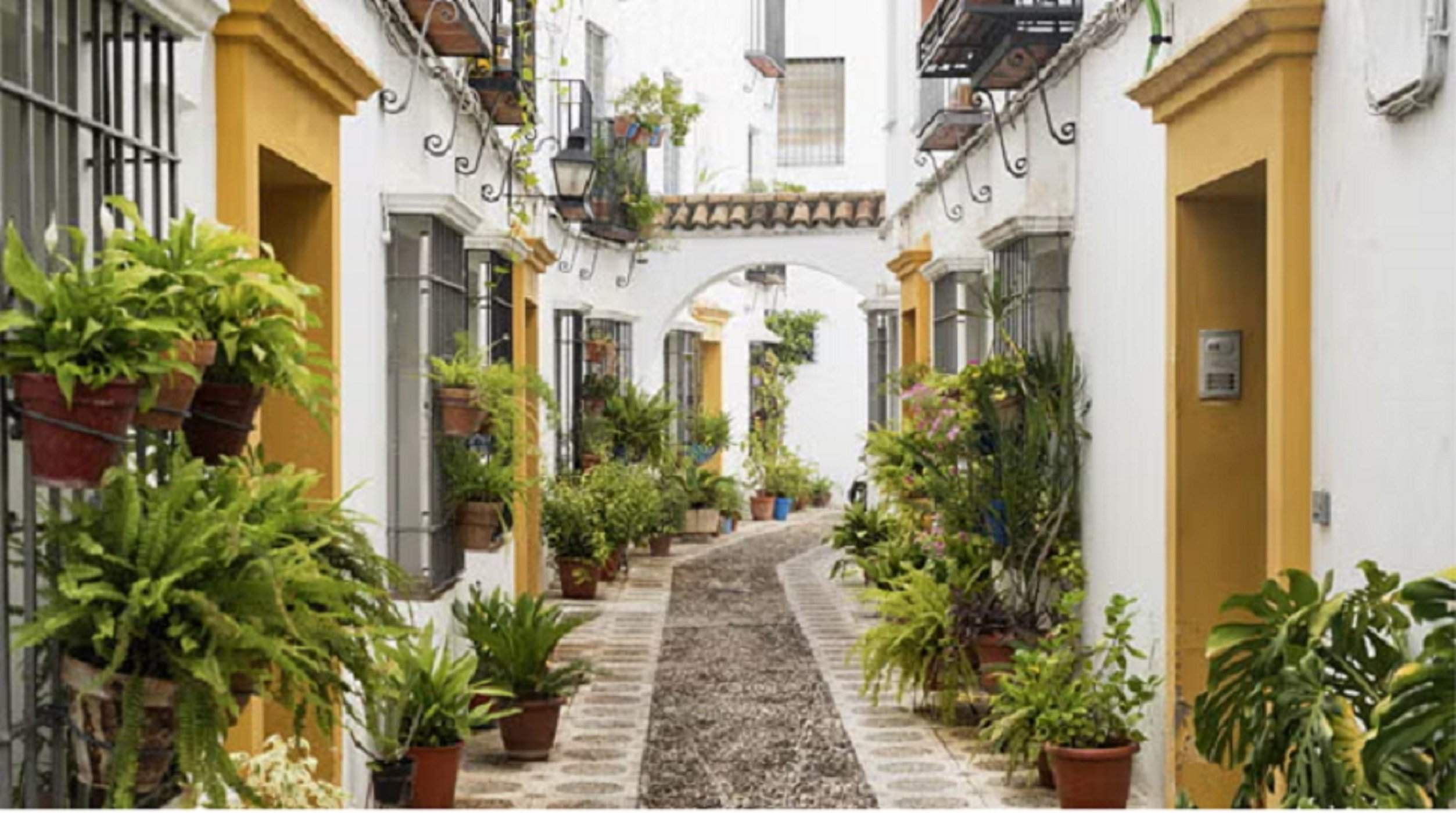 Córdoba. Antiguo barrio judío. Fuente Oficina de Turismo de Córdoba Córdoba. Antiguo barrio judío. Fuente Oficina de Turismo de Córdoba