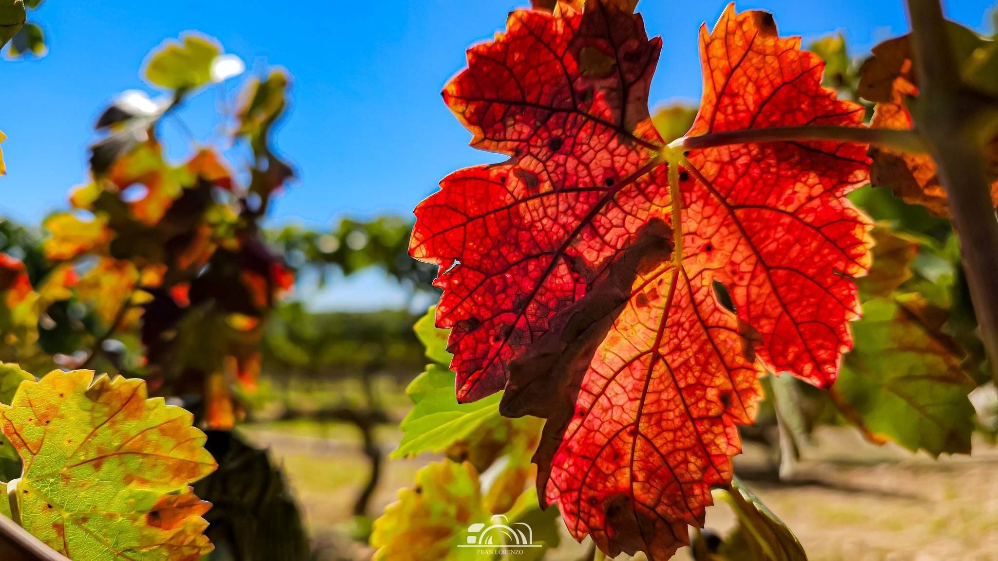 El otoño empieza con un tiempo seco y estable en Catalunya, ¡tendrá cuerda para muchos días!