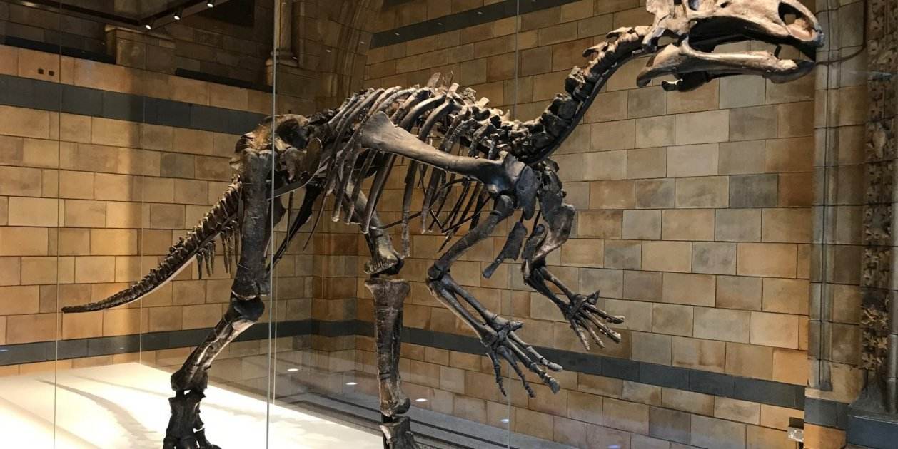 dinosaures de catalunya dinosaures de catalunya