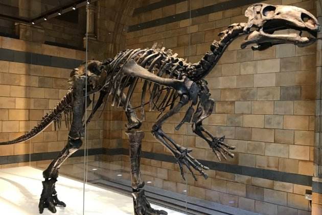 dinosaures de catalunya dinosaures de catalunya