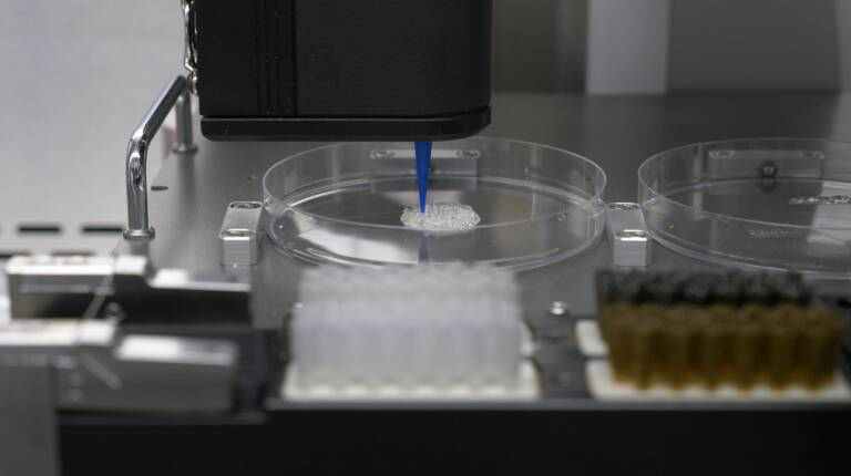 Investigadores ilicitanos desarrollan un modelo de la piel humana con una impresora 3D