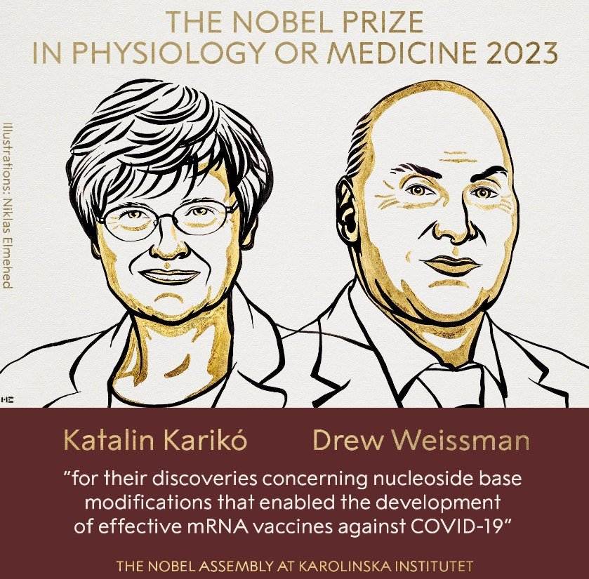 Katalín Karikó i Drew Weissman reben el Nobel de Medicina 2023