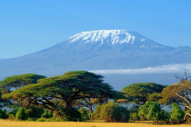 kilimanjaro desapareix kilimanjaro desapareix