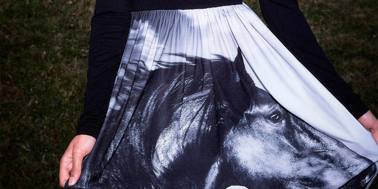 Sfera crea un vestit a partir d'una foto amb cavalls