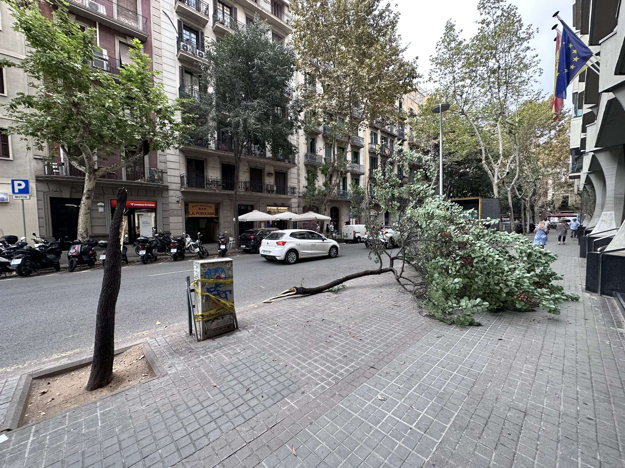 Nuevo árbol caído a Barcelona, ahora en la calle Sant Antoni Maria Claret