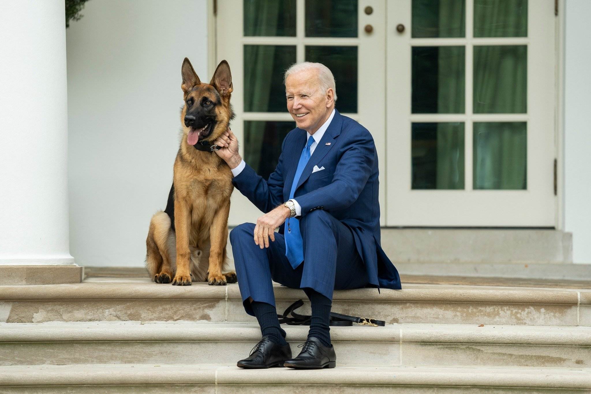 El perro de los Biden, expulsado de la Casa Blanca por morder a agentes del Servicio Secreto