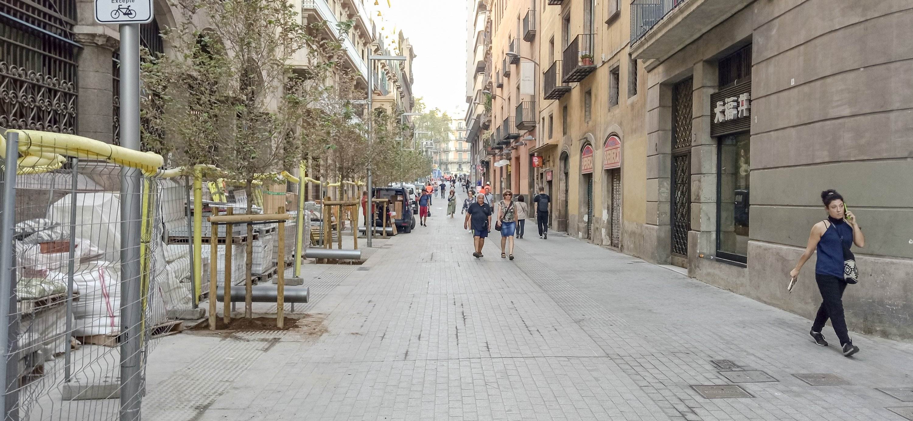 Calle Jonqueres, el eje verde que nadie se esperaba