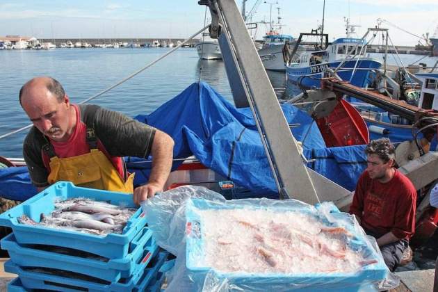 gamba pescadores palamos