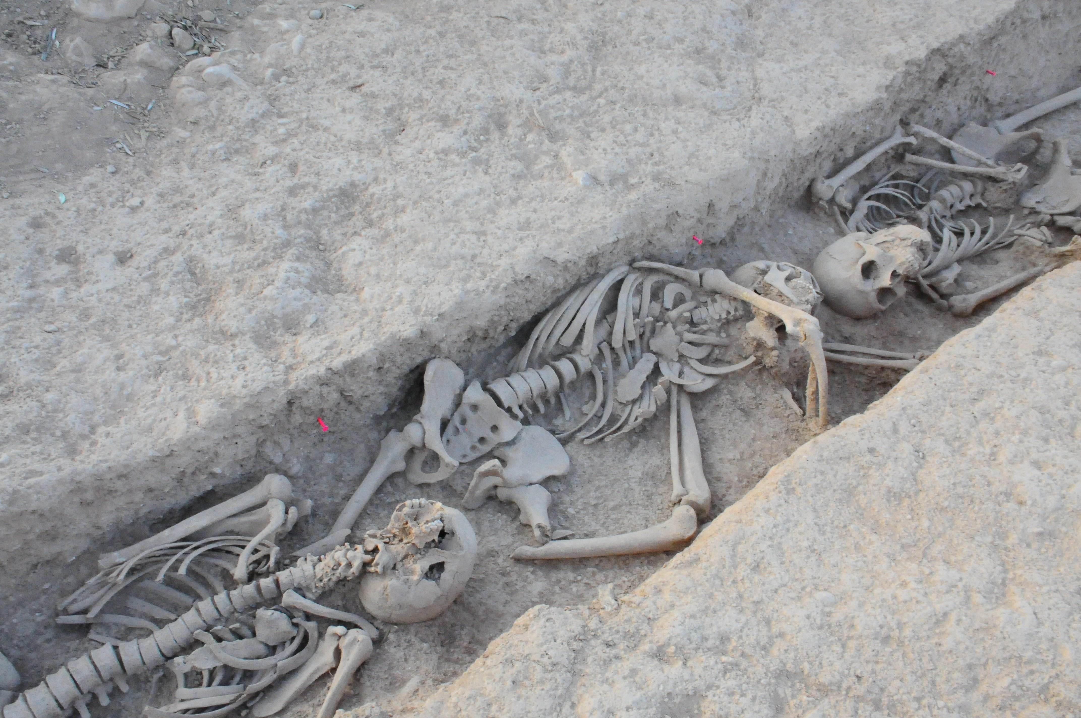 Vestigis de l'horror: exhumades les restes de 26 soldats republicans a dues fosses comunes catalanes