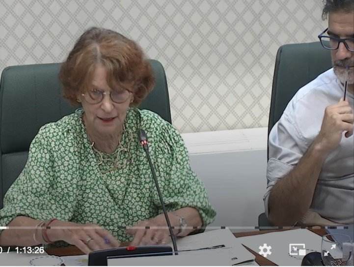 La síndica de Greuges, Esther Giménez- Salinas, al Parlament La síndica de Greuges, Esther Giménez- Salinas, al Parlament