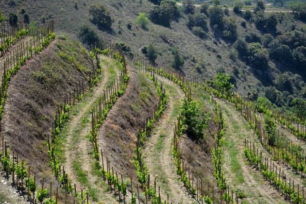 Viñas del Priorat, Porrera