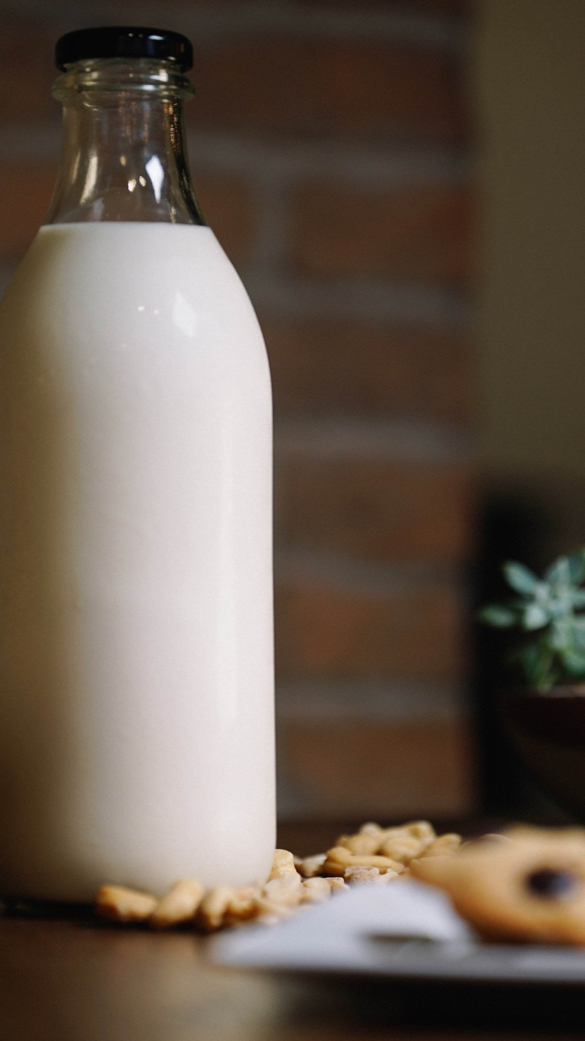 Avena, soja... Estos son todos los infinitos tipos de leche que existen