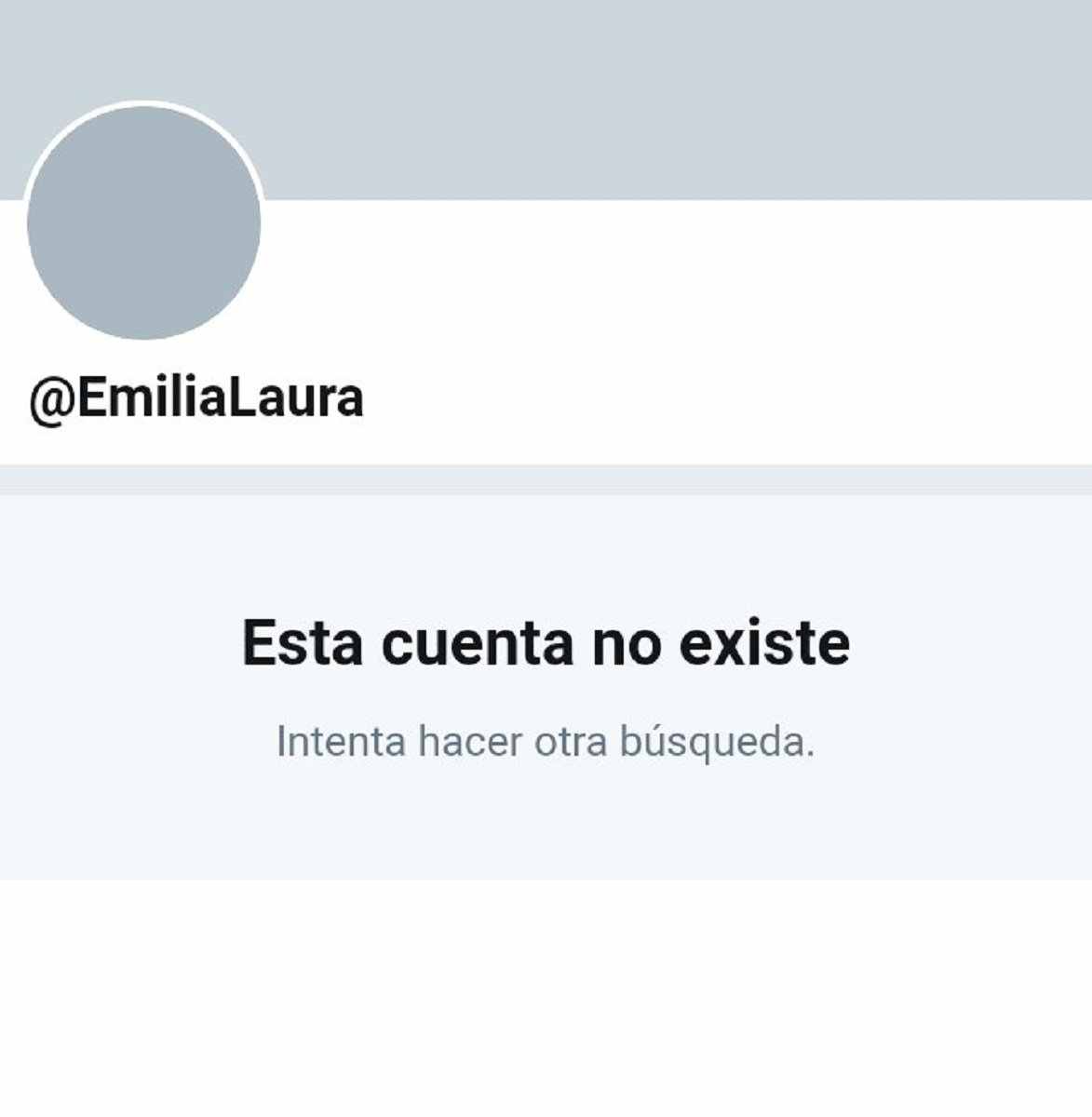 Desapareix el compte de Twitter d'una periodista que va denunciar manipulació de TVE