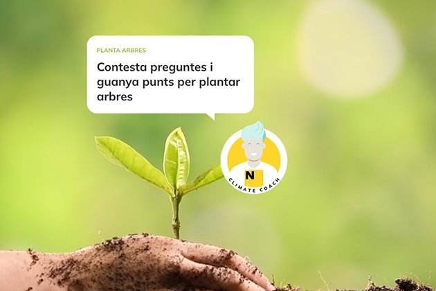 Comunitat Green Comunitat Green