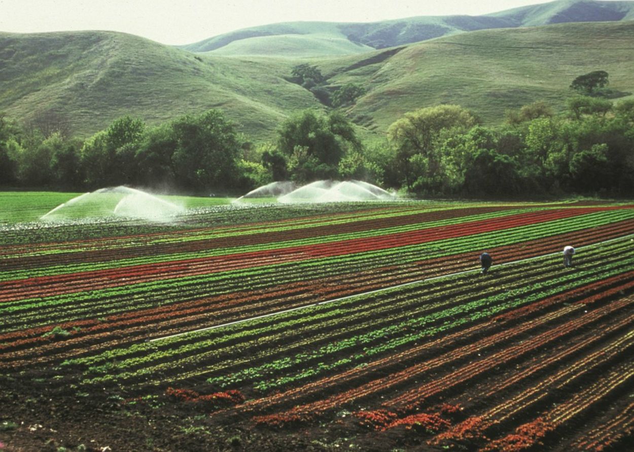 L'agricultura espanyola vol fons europeus per tecnificar-se encara més